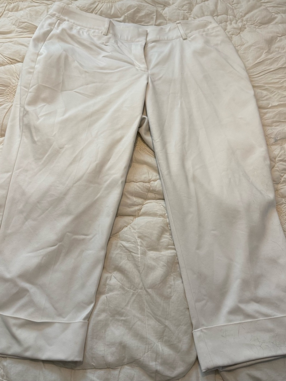 Lane Bryant Cream Wide Waistband Pants